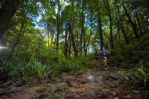 BIB: 
                            <button type="button" onclick="openModal(19231272)" class="btn btn-primary btn-sm float-right btn-popup" data-toggle="modal" data-target=".modal-high-quality">
                        <i class="fas fa-shopping-cart"></i> Add to Cart
                    </button>
                                            <button type="button" onclick="isThisMe(19231272, true)" class="btn btn-success btn-sm float-right btn-popup btn-isme hidden" data-toggle="tooltip" data-placement="bottom" title="นี่คือรูปของคุณใช่ไหม คลิกที่นี่เพื่อเอาเข้าอัลบั้ม">
                        <i class="fas fa-plus"></i> Add to album
                    </button>
                    <button type="button" onclick="isThisMe(19231272, false)" class="btn btn-warning btn-sm float-right btn-popup btn-isnotme hidden">
                        <i class="fas fa-ban"></i> Remove from album
                    </button>